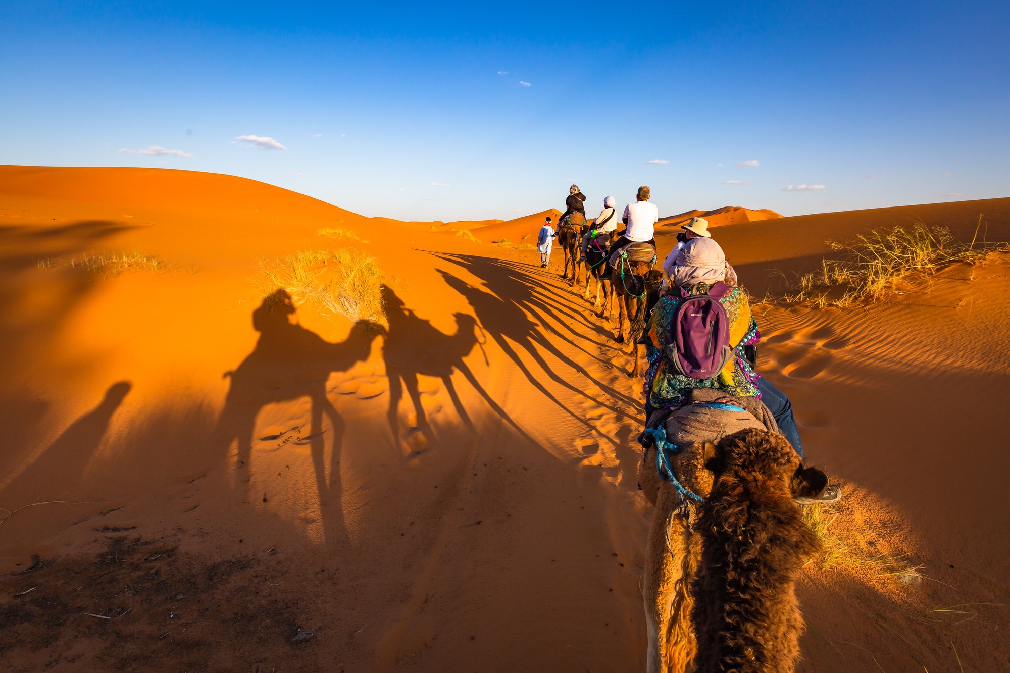 Camel shadows in Sahara with tourists